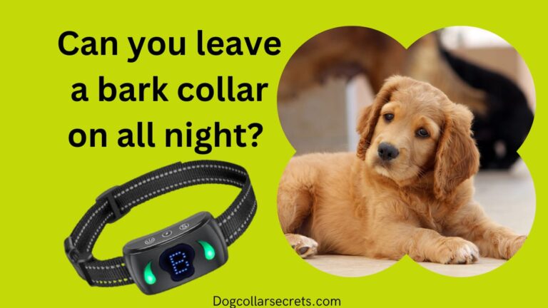 Can you leave a bark collar on all night?