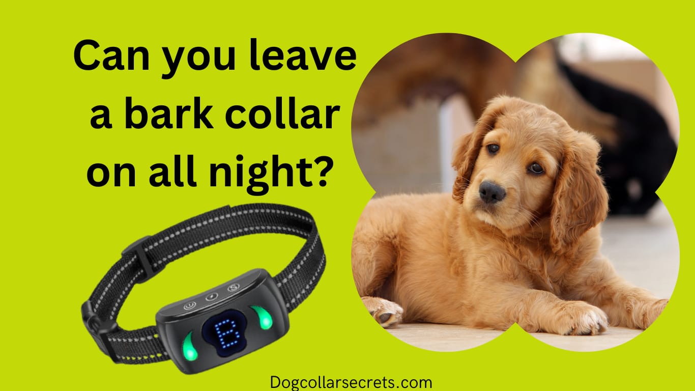 Can You Leave A Bark Collar On All Night?