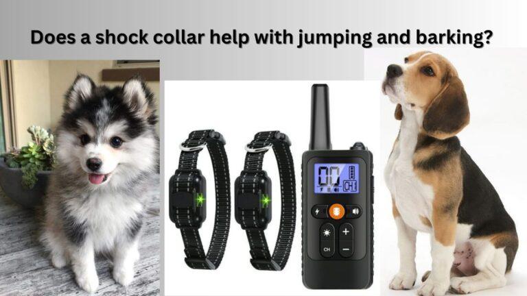 Does shock collar help with jumping and barking? Dog Collar Secrets