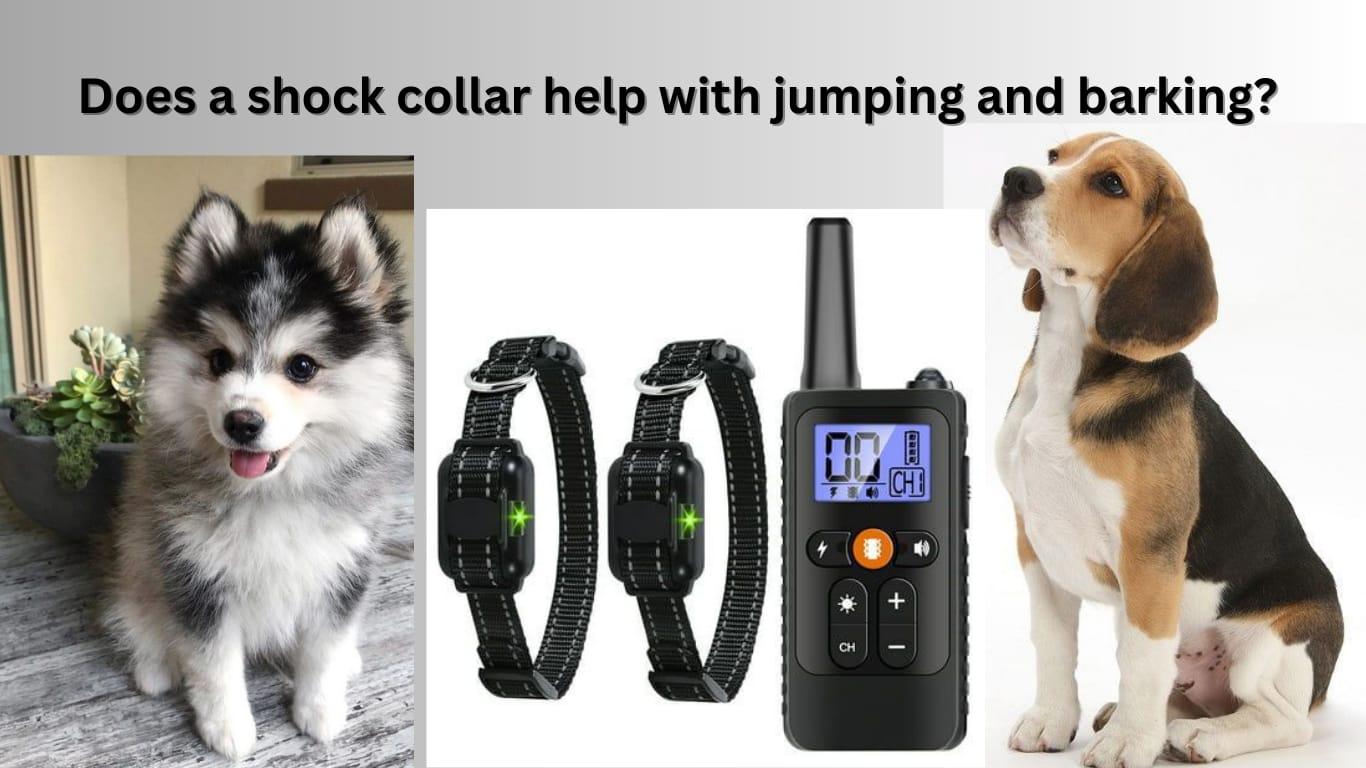 Does shock collar help with jumping and barking