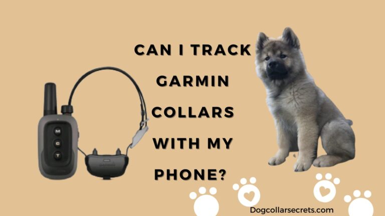 Garmin Collars: Can I track Garmin collars with my phone?