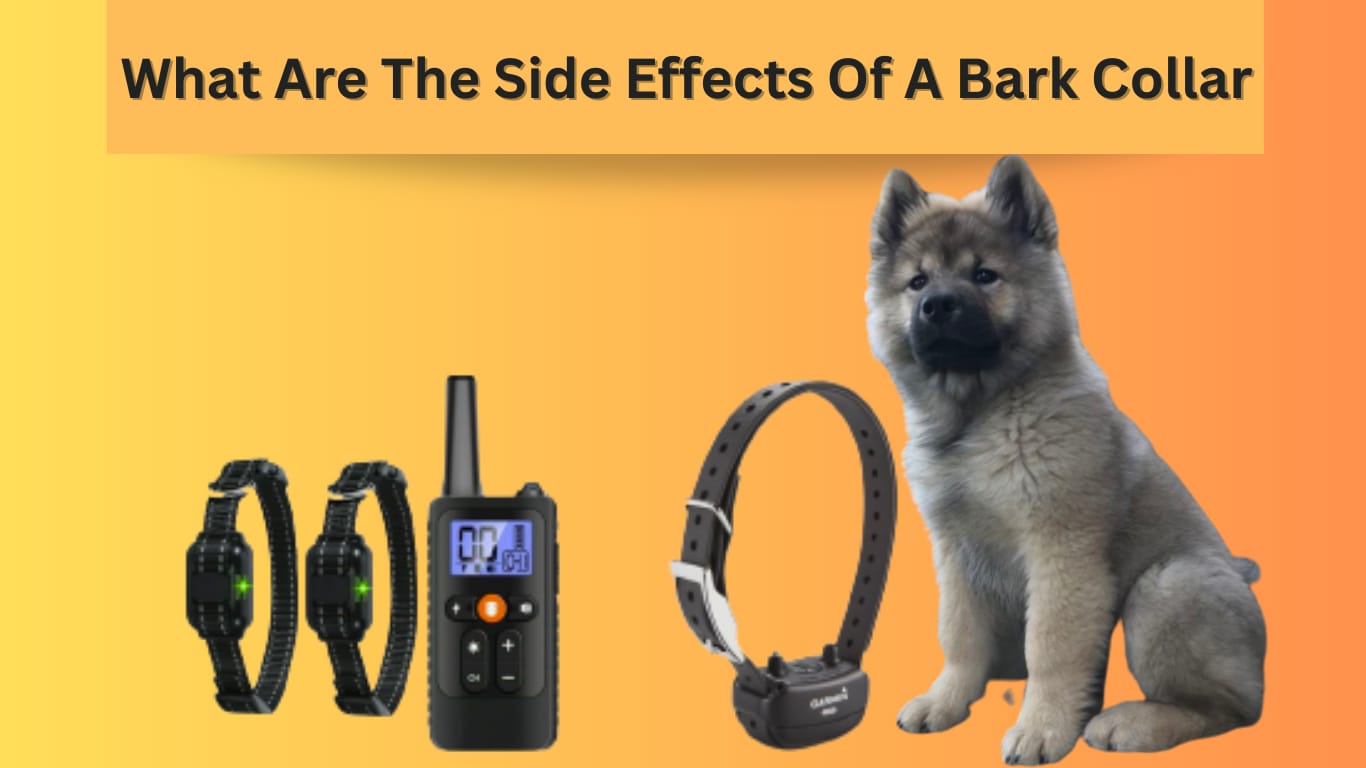 What are the side effects of a bark collar?