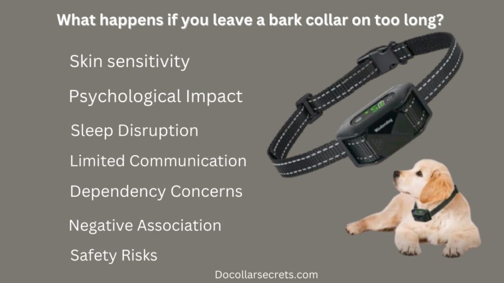 How Long Can You Leave A Bark Collar On A Dog?