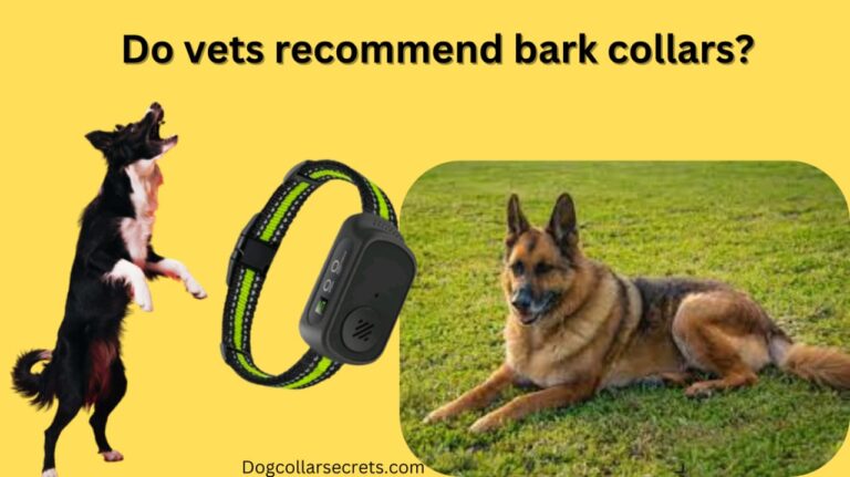 Do vets recommend bark collars? Dog Collar Guide