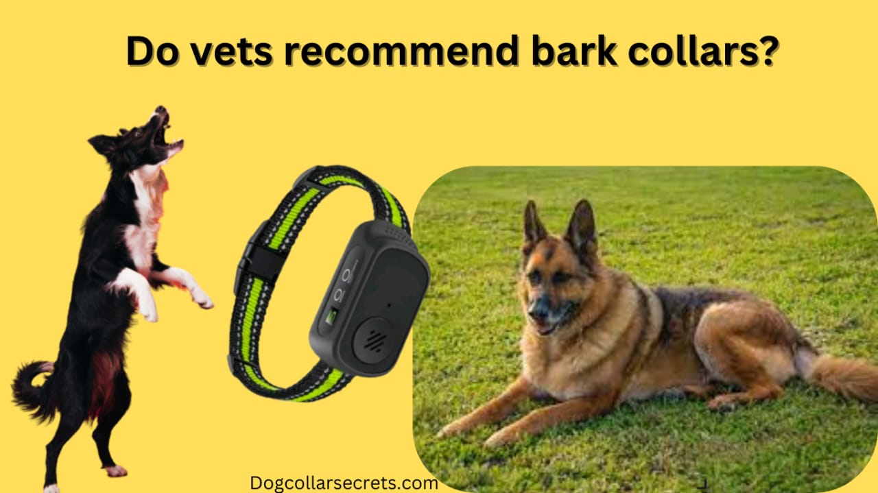 Do vets recommend bark collars?