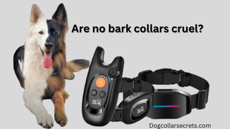 Are no bark collars cruel?