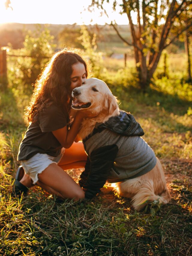 Golden Retriever Personality Traits