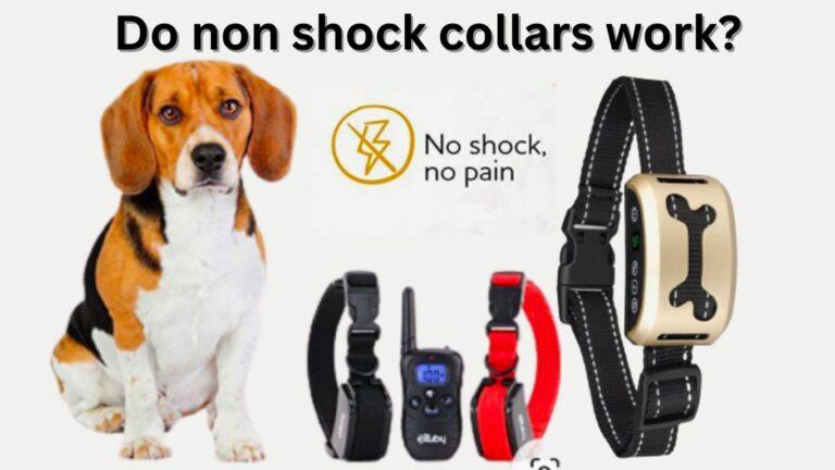 Do non shock collars work?