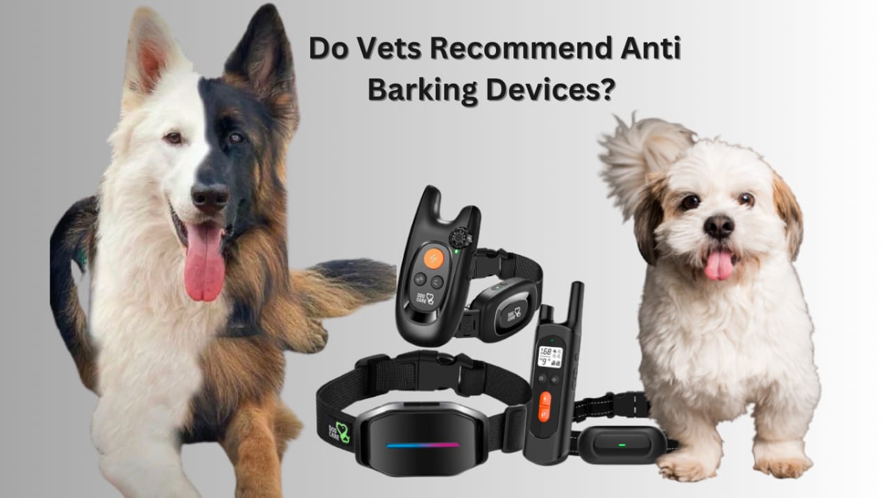 Do Vets Recommend Anti Barking Devices?