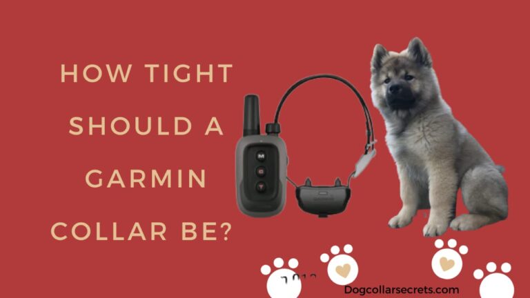 Garmin Collars: How tight should Garmin collar be?