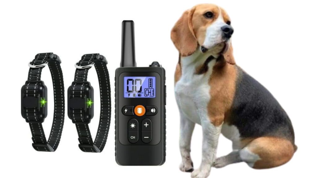 Do Vets Recommend Anti Barking Devices?