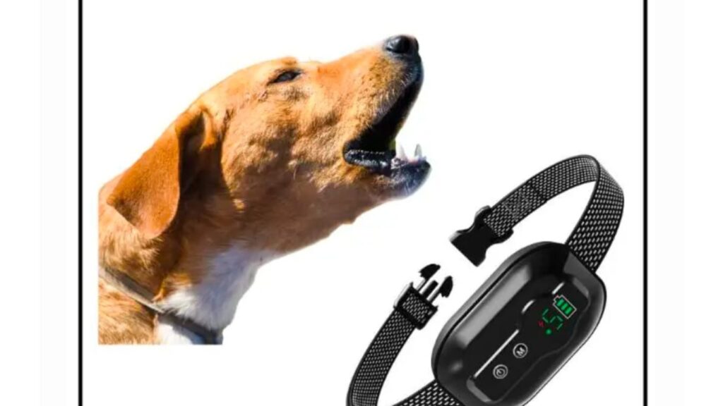 Do Vets Recommend Anti Barking Devices?