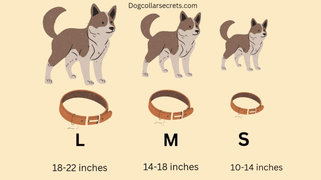 how many inches is a large dog collar?