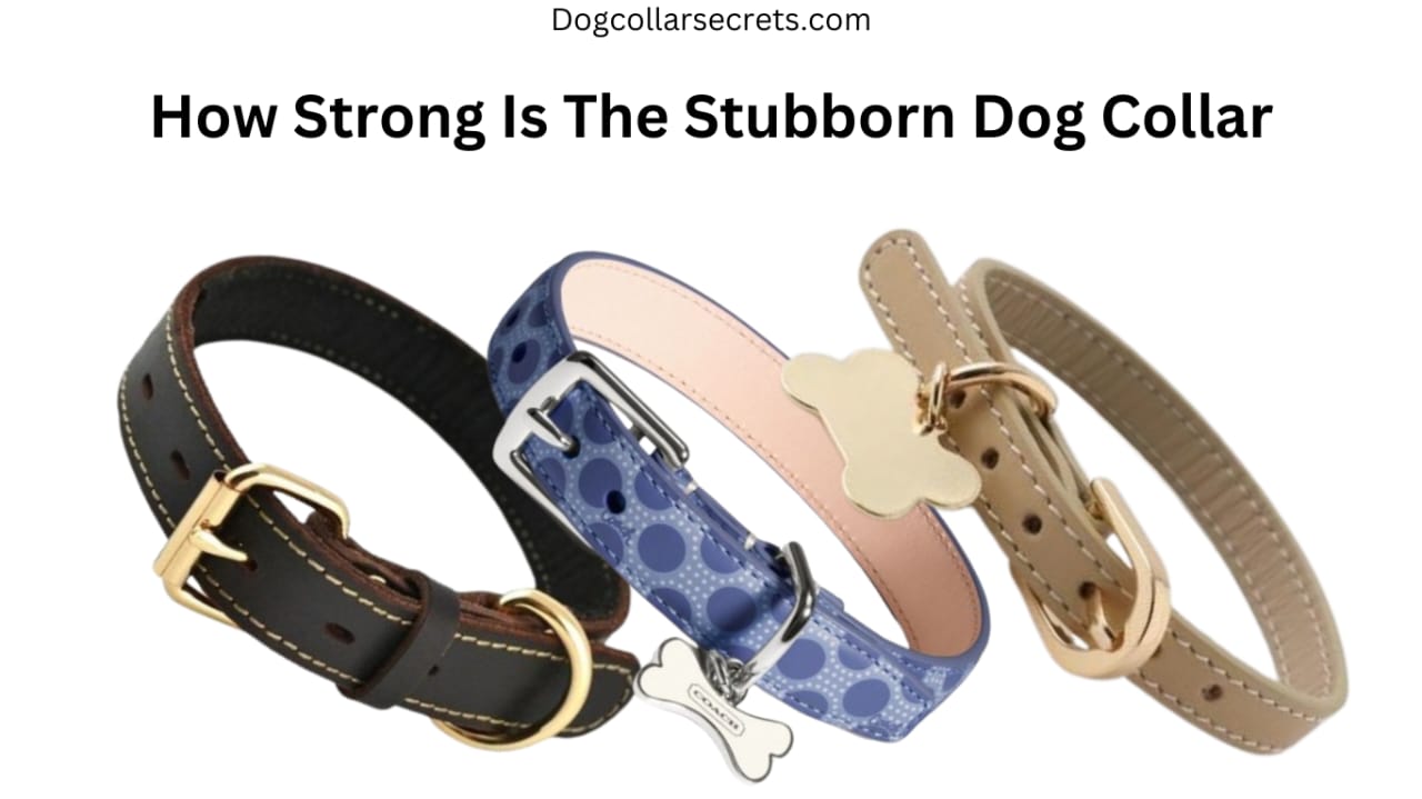 how strong is the stubborn dog collar?